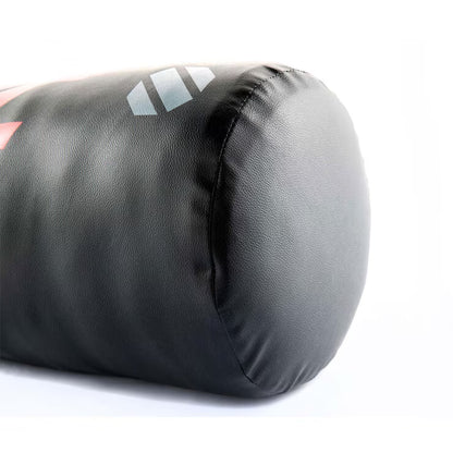 Youth Boxing Training Set with 6 oz Gloves and 5 kg Punch Bag